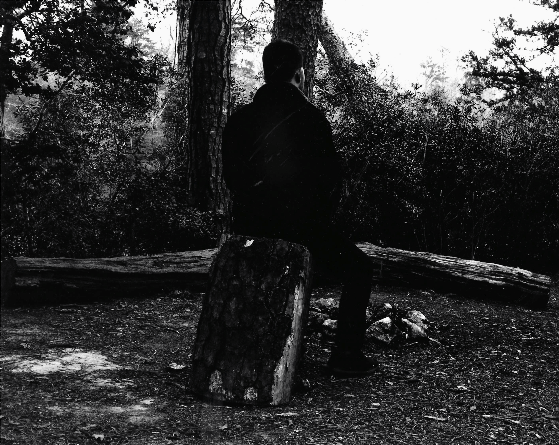 11-sitting on a log